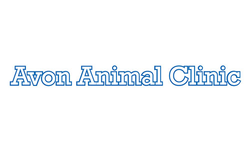 Avon Animal Clinic in Redford MI | SaveOn