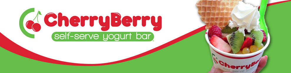 CherryBerry in Hudson, WI banner