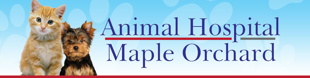Animal Hospital Maple Orchard in West Bloomfield, MI banner