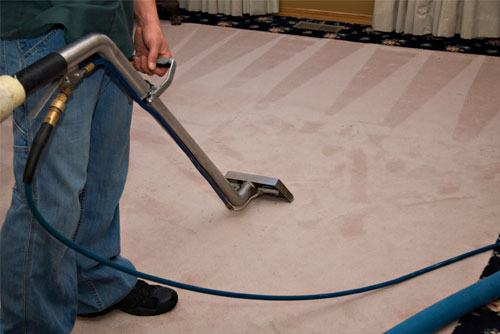 L N Carpet Cleaning In Lansing Mi Saveon