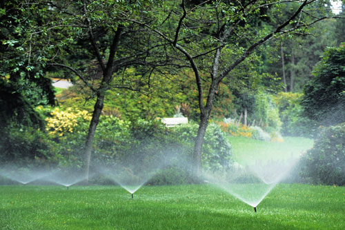 Up to 15% OFF In-Season Pricing at Three Brothers Landscaping, INC