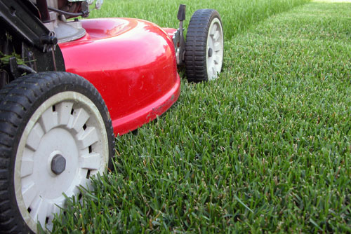Lawnmower Tune-Up Specials $79 at R. Dugo Landscaping