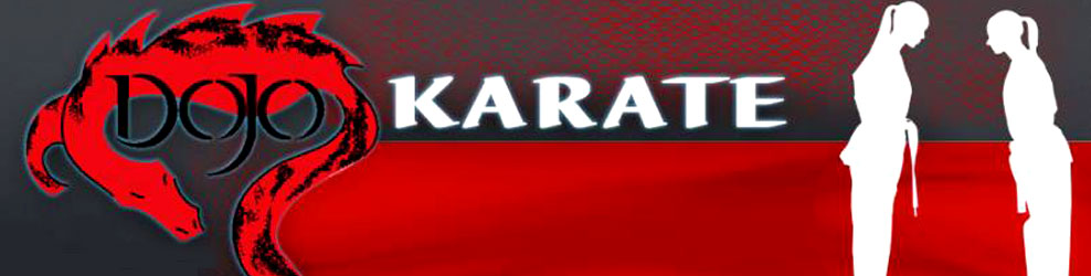 Dojo Karate in Rogers, MN banner