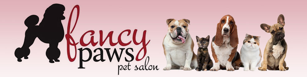 fancy paws grooming salon