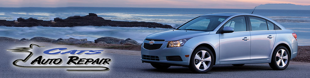 Cats Auto Repair in Schaumburg, IL banner