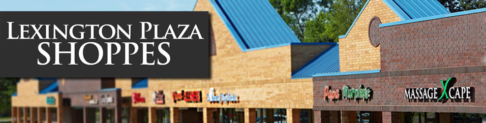 Lexington Plaza Shoppes in Roseville, MN banner