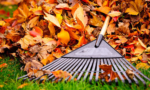 $300 OFF Any Tree Trimming or Removal Under $1,000 at Turman's Tree & Landscape