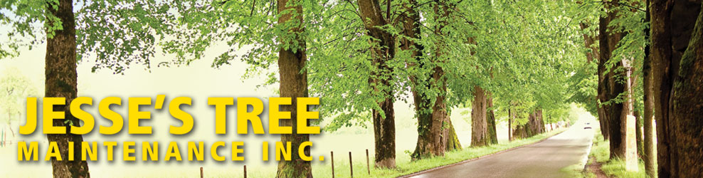 Jesse's Tree Maintenance Inc. in Prospect Hts., IL banner