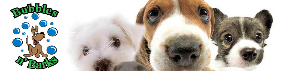 Bubbles n' Barks in St. Clair Shores, MI banner
