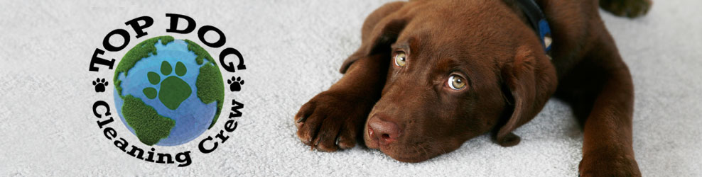 Top Dog Cleaning Crew Serving the Twin Cities, MN banner
