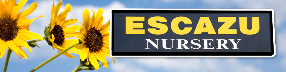 Escazu Nursery in Lake Zurich, IL banner