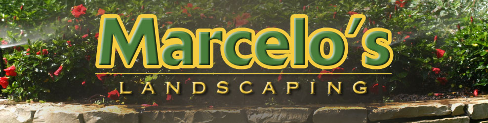 Marcelo's Landscaping banner