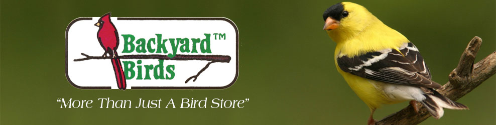 Backyard Birds in Bloomfield Hills, MI banner