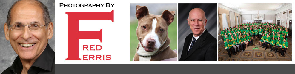 Photography by Fred Ferris banner