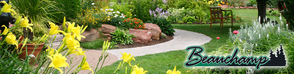 Beauchamp Lawn in Brighton, MI banner