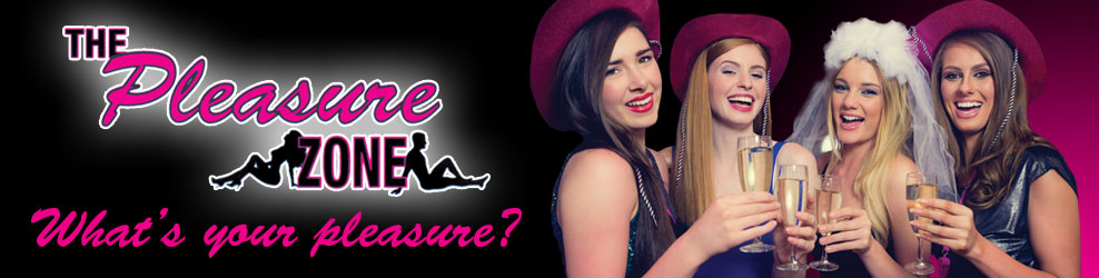 The Pleasure Zone in Sterling Hts, MI banner