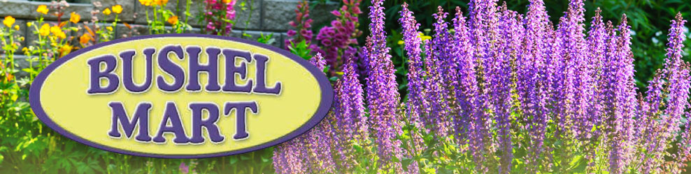 Bushel Mart in Livonia, MI banner