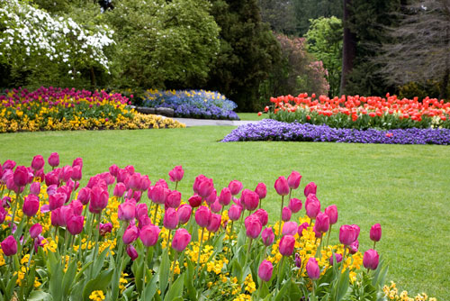 $150 OFF Any Landscaping Job at Turman's Tree & Landscape