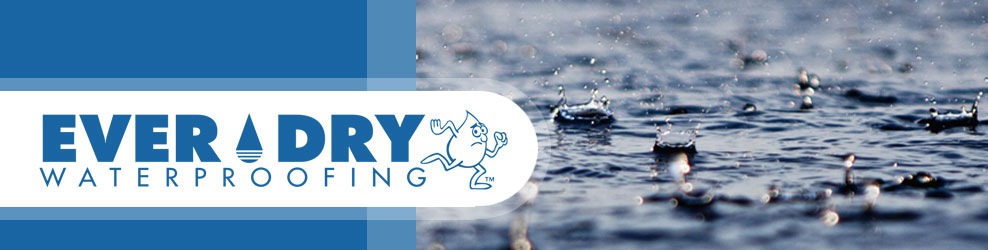 Everdry Waterproofing Michigan banner