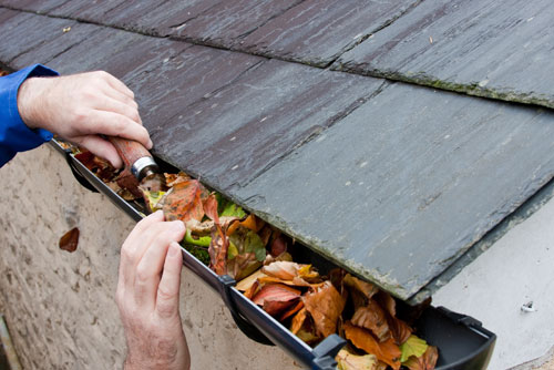 20% OFF Leaf Guards at Ackerman Seamless Gutters