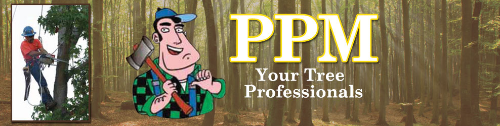 PPM - Perfect Property Maintenance in Troy, MI banner