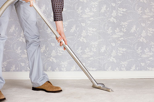 Starting At $225 Carpet Cleaning at The Master's Touch Cleaning