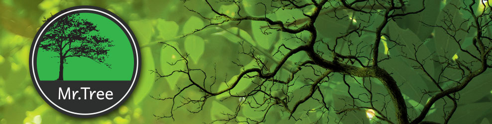 Mr. Tree, Inc. in Oxford, MI banner