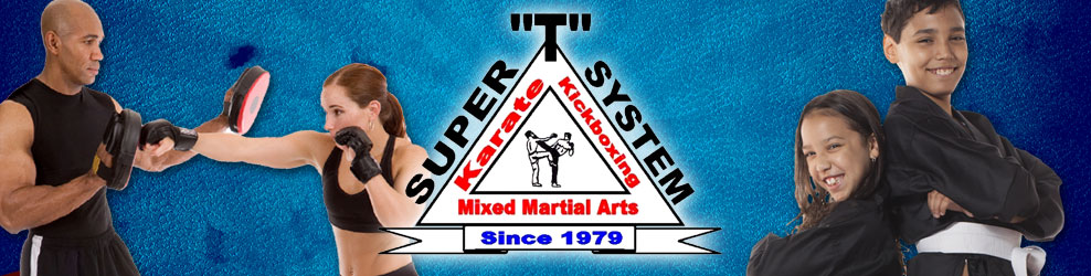 Super T Karate in Grand Rapids, MI banner