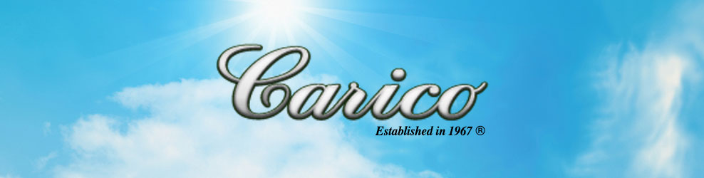 Carico International in Lansing, MI banner