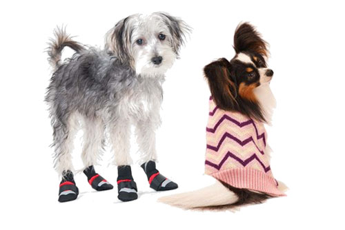 Buy Any Dog Treats or Toy & Get 2nd Treats or Toy 50% OFF at Specialty Pet Supplies