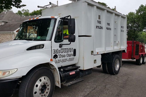 Mcguinn Tree Care In Hawthorn Woods, Il 