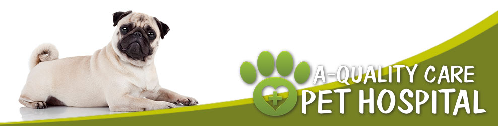 A-Quality Care Pet Hospital in Livonia, MI banner