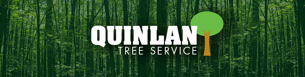Quinlan Tree Service in Milford, MI banner