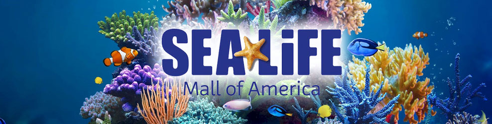 Sea Life in Bloomington, MN banner