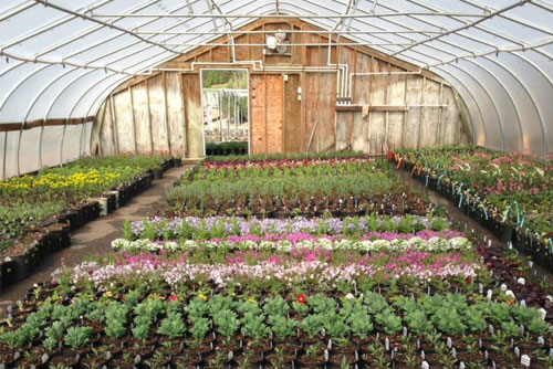 Southview Garden Center in St. Paul, MN | SaveOn