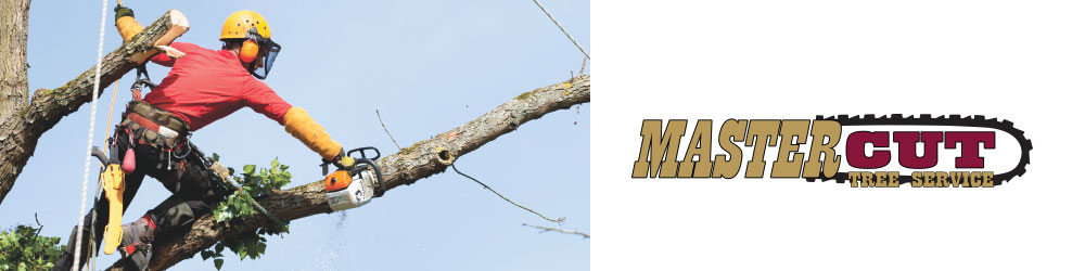Mastercut Tree Service in Maple Grove, MN  banner