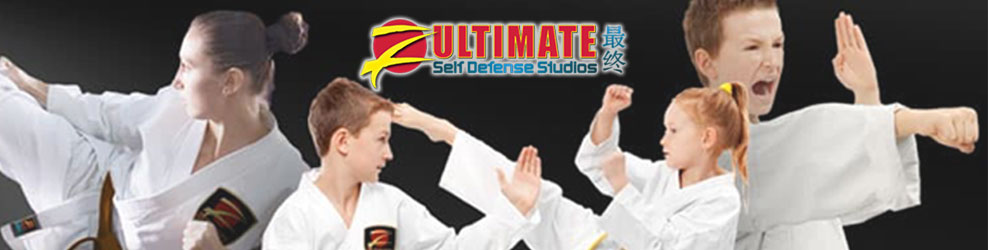 Z Ultimate Self Defense Studios in Glenview, IL banner