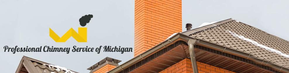 Professional Chimney Service of Michigan Serving Metro Detroit banner