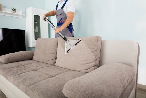 $20 OFF Upholstery Cleaning at Modernistic