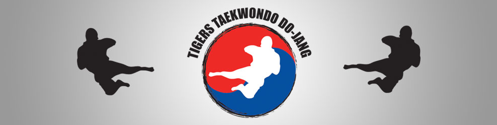 Tigers Taekwondo Do-Jang in Grand Rapids, MI banner