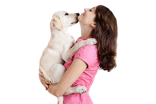 Up To $15 OFF at Downers Grove Dog Training & Grooming