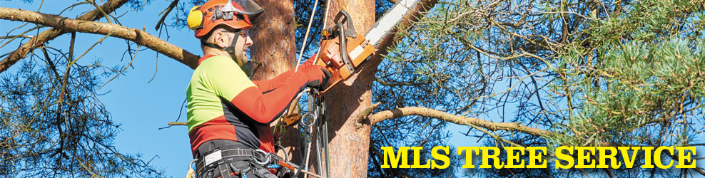 MLS Tree Service in Plymouth, MI  banner
