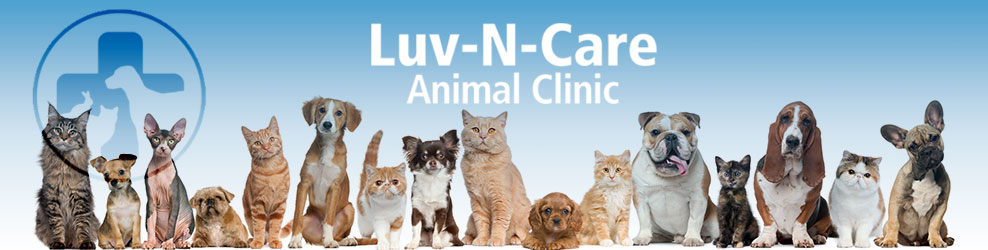 Luv-N-Care-Animal Clinic in Naperville, IL | SaveOn