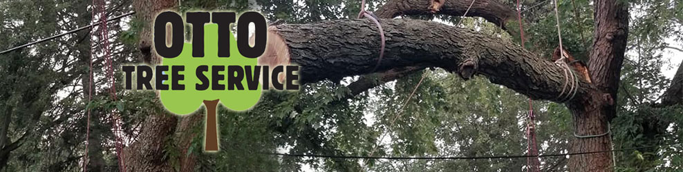 Otto Tree Service LLC. in Waterford, MI banner