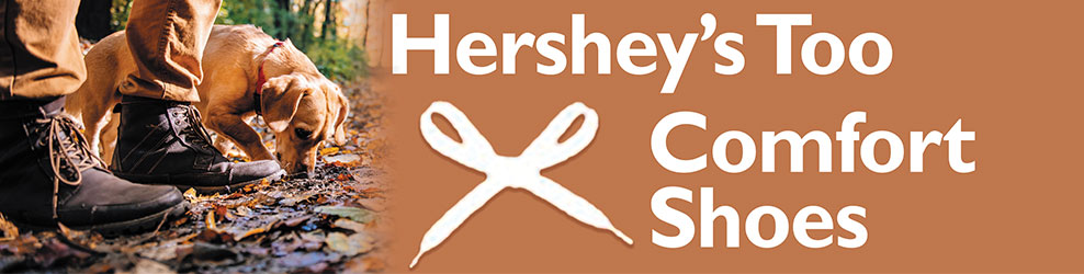 Hershey's Too Comfort Shoes in Novi MI banner