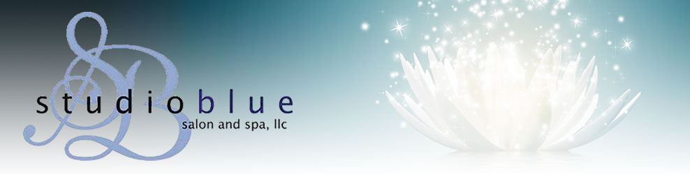 Studio Blue Salon & Spa in Stacy, MN banner