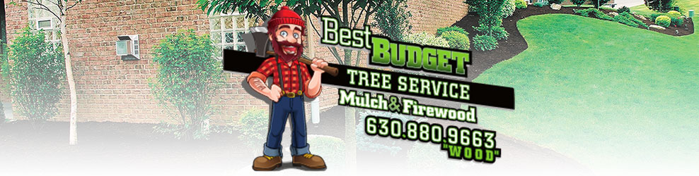 Best Budget Tree Service In Plainfield Il Saveon