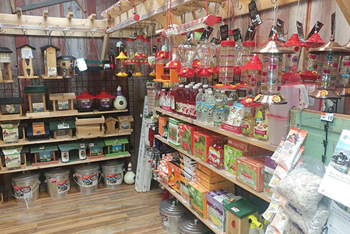 Pet Supplies Plus Plymouth Road Ann Arbor MI HomePros