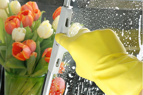 10% OFF Multiple Services at Starbrite Window Cleaning