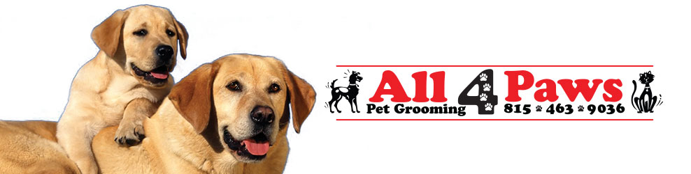 All 4 best sale paws dog grooming